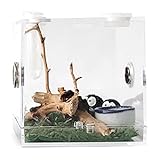 Transparente Futterbox – Transparente Acryl-Reptilien-Lebensraum, mit Anti-Flucht-Design und Metall-Atemlöchern, Terrarium-Hülle für Mini-Haustier, Schlange, Spinne, Eidechse, Taranteln, Tausendfüßler