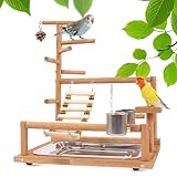 Vogelspielzeug, Papageienspielzeug, Wellensittich Spielzeug, Spielplatz Mit Feeder-Cup Spielzeug Leiter Erklimmen Schaukel Und Tablett Vogelschaukel Sitzplatz Für Sittiche Nymphensittich, 37x26x44CM