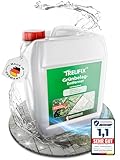 Treufix - Grünbelagentferner & Moosentferner Konzentrat [Chlor- und säurefrei] selbsttätige Entfernung von Grünspan, Grünbelag & Moos |Steinreiniger für Pflastersteine, Terrassen 5L Made in DE