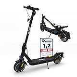 DAMI E-Scooter mit Straßenzulassung (ABE): leicht tragbarer und faltbarer Elektroroller mit 400-W-Motor, doppelter Stoßdämpfung, IP54-zertifizierter Wasserdichtigkeit. Ausgestattet mit Dualbremssystem