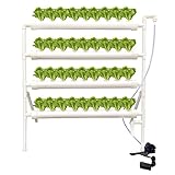 RANZIX Hydroponics Growing System mit 36 Pflanzenplätzen 4 Schicht, Hydroponische Gartenarbeit System Grow Kit, Pflanzenanbau-Systeme für Kräuter,Obst und Gemüse (B-36 Löcher)