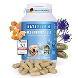 NatiVivo® Hunde Gelenktabletten Grünlippmuschel Gelenkkomplex Testsieger Schmerzen Hund Vital Rezeptur für Gelenkgesundheit mit Weihrauch, Teufelskralle und MSM. Hohe Akzeptanz. Made in Germany!