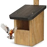 Waldfunk Halbhöhle Nistkasten für Rotkehlchen & Co. | Wetterfest & Massives Holz | Vogelhaus für Nischenbrüter | vollflächig imprägniert