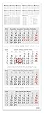 Geiger-Office 4-Monatskalender INFO - Schulferien, Feiertagen und Jahresübersicht 2026, Wandkalender I 33 x 90 cm, 4 einzelnen, perforierten Kalenderblocks (INFO 4 MONATS)
