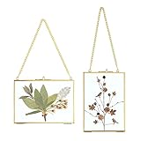 SUMTree 2Pcs Bilderrahmen aus Glas und Metall,Hängende Glas...