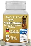 Gelenktabletten Hunde – Vergleich SEHR GUT Made in Germany mit Grünlippmuschel, MSM und Teufelskralle - Keine Kapseln, hohe Akzeptanz Gelenktabletten Hund - 100 Stück