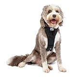 Kurgo TRU-Fit Hundegeschirr, Crash-Test-erprobtes Auto-Sicherheitsgurt, Für Hunde von 2 bis 5 kg, Größe L, Schwarz
