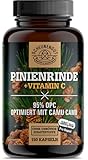 Pinienrindenextrakt -475mg OPC je Kapsel- WICHTIG: 25:1 Extrakt (=14500mg Französische Meereskiefer je Dosis) +Vitamin C I 150 Kapseln mit 95% OPC I Laborgeprüft -DE- SCHEUNENGUT®