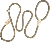Retrieverleine mit Zugstopp & Hundebürste – 150 cm Hundeleine mit Halsband, einstellbare Anti-Würgen Trainingsleine für kleine & mittlere Hunde, 2-in-1 Leine für Spaziergänge & Pflege