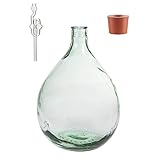 MIKONI Gärballon Glasflasche Glasballon Weinballon, Glasgärballon Vergärung Gärbehälter mit Gäraufsatz Glasflasche Glasballon, Weinballon, Glasgärballon (34l)