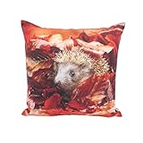 CB Home & Style Outdoor Garten Kissen Herbstkissen Herbstdeko Outdoorkissen Wasserabweisend 45x45cm mit Füllung (Herbst 15 - Igel)