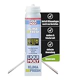 LIQUI MOLY Klimaanlagenreiniger Klima Refresh, Art.-Nr. 21465 I 75 ml Geruchsentferner Auto mit desinfizierenden Eigenschaften I Bekämpft Bakterien & Schimmel I Auto Erfrischer für Fahrzeuginnenräume