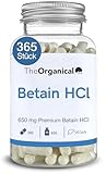 Neu: TheOrganical®: Betain HCL 650 mg | 365 Kapseln | Hergestellt in Hamburg | Ohne Zusatzsoffe & Hochdosierte | Betaine HCL | Sodbrennen Tabletten