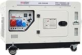 Generator Newpower DG11000SE Stromerzeuger 8 kw 8000 Watt Diesel Stromaggregat AVR E-Start