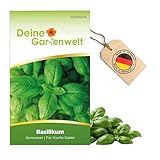 Basilikum Genoveser Samen - Ocimum basilicum - Basilikumsamen - Kräutersamen - Saatgut für 150 Pflanzen