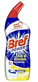 Bref Power WC-KraftGel 15x Effekt gegen Kalk und Urinstein, WC Reiniger für kraftvolle Reinigung, 750 ml