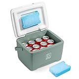 Brisby Kühlbox 8 Liter - 18 Stunden warm - 40 Stunden kühl - Inklusive 2 große Kühlelemente 450 ML -Kühltasche für Arbeit, Camping, Grillen oder Urlaub – BPA-frei
