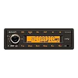 12 Volt Bluetooth PKW Auto Radio RDS & DAB Tuner MP3 WMA USB 12V 2910000430600