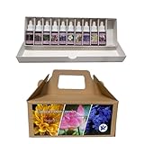 PHI ESSENCES Bachblüten Set 38 Stück 30 ml | Rescue Tropfen Bachblüten 38 + 2 Rettungen