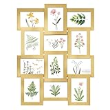SONGMICS Bilderrahmen-Collage, 12 Fotorahmen für 10 x 15 cm Bilder, Fotocollage, Wandcollage, Multi-Rahmen, Wanddeko, weihnachten, helles Gold RPF026A01