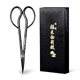 Wazakura Bonsai Schere - Satsuki Modell, Karbonstahl, 18 cm, Made in Japan - Schere zum Trimmen von Ästen, Blättern, Wurzeln und Trieben