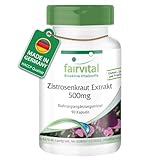 Fairvital | Zistrosenkraut Extrakt 500 mg - 90 Kapseln - 5-fach konzentrierter Cistus-Extrakt - Natürliche Quelle Polyphenole - 100% vegan - Qualitätsgeprüft und hochdosiert - Made in Germany