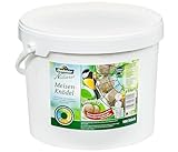 Dehner Natura Vogelfutter | Wildvogelfutter | Meisenknödel ohne Netz | energiereiches Premium Ganzjahresfutter | Fettfutter mit Nüssen | für Meisen und Rotkehlchen | im Vorratseimer | 100 Stück | 9 kg