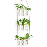 CRITIVE-Shop Terrarium-Kit Vermehrungsstation für Hydroponik-Pflanzen-3-stöckige hängende Glasterrarium-Pflanzenwand mit 7 Reagenzgläsern 3 Nicht abfärbenden Nägeln (natürliche Holzfarbe)