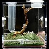 MegLob Mini -Reptilien -Terrarium -Kit, Micro Habitat Reptile Tank Für Sprungspinnen, Winzige Reptilien -Fütterungsschachtel, Taschenreptilien -Wachstumspanzer Für Insekten/Schnecken,M