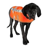 Carhartt Baby - Jungen Dog Safety Vest, Hunter ORANGE, S EU