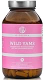 QIDOSHA® Wild Yams Wurzelextrakt, 240 Stk/Glas, 1000mg Wilder Yams Wurzelextrakt mit 200mg Diosgenin je Tagesportion, Mexikanischer Wild Yam Kapseln hochdosiert, vegan, in Deutschland gefertigt