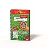WOLF Garten Turbo-Nachsaat, LR 10, 10 m² 3826010, Grün