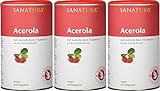 Sanatura Acerola – 3 x 175 g Acerola Pulver – natürliches Vitamin C hochdosiert – aus der Acerolakirsche – einfache Anwendung – sehr ergiebig – vegan