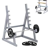 Delsen Langhantel Rack Stifthalter, Squat Rack Stifthalter mit Hanteln und Gewichten, Gym Thema Schreibtisch Stiftehalter, Stifthalter für Schreibtisch