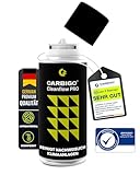 CARBIGO® Klimaanlagen Desinfektion Auto I Geruchsneutralisierer Auto gegen Gerüche in 15 min I Auto Selbstverteiler antibakteriell langanhaltend I Klimaanlagenreiniger desinfizierend 100ml Zitrusduft