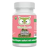 Neem Kapseln - hochdosiert - 400 mg 4:1 Extrakt - Qualität aus Deutschland - Niem ohne Zusätze - vegan - natürlicher Frucht-Extrakt aus Neembaum-Frucht - Antioxidans & Immunsystem - Vitamineule®