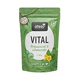 ATESO® Bio Detox Tee – mit Brennnessel & Löwenzahn – Kräutertee für Detox-Phasen & individuelle Gewichtsziele – mit Bitterstoffen - biozertifiziert, vegan & ohne Zusätze – lose 60 g