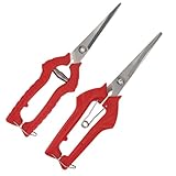 Toddmomy 2 Stück Gartenschere Astschere Obstpicker Gartenarbeit Zweig Traubenschneider Garten Schere Langlebiges Schnittwerkzeug Trimmer-werkzeug Rot Rostfreier Stahl