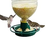 Vogelsamenspender, Futterröhre für Wildvögel, wasserdicht, Eichhörnchen-Ständer aus Metallgeflecht, Dec