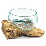 Wurzel mit Glasschale klein Schale Dekoschale Glas auf Holz Durchmesser 12-13 cm Holzdeko Teakholz Deko (Hellbraun)