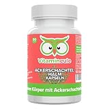 Ackerschachtelhalm Kapseln - hochdosiert - 500 mg Zinnkraut - Qualität aus Deutschland - Extrakt ohne Zusätze - vegan - laborgeprüft - hoher Anteil an organischem Silizium - Vitamineule®