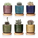 T4U 6.3cm Keramik Sukkulenten Töpfe Kaktus Pflanze Töpfe Mini Blumentöpfe EIS Crack Höher Serie 6 Farben Set mit Untersetzer