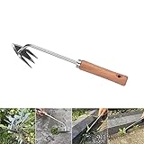 2in1 Fugenkratzer Unkraut, 31.5cm Unkrautstecher, LöWenzahnstecher, Gartengeräte, Profi Trimmer Unkraut