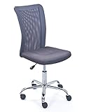 Inter Link Bürostuhl mit höhenverstellbaren Rädern Sitz aus Kunstleder und Polyesterstruktur aus grauem Metall, 40 x 48 x 98 cm