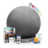 ENOVI ProfiBalance Gymnastikball mit Abdeckung, Pezziball, Sitzball Büro, 65CM, FG