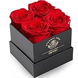 Impouo Rosenbox,Infinity Rosen,Konservierte Rose, Ewige Rose,Geburtstagsgeschenke FüR Frauen, Geschenke FüR Mutter/Freundin/Ehefrau/Oma, Geburtstag, Valentinstag,Ewige Blume