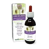 Wilde Karde (Dipsacus fullonum oder D. sylvestris) Wurzeln Alkoholfreier Urtinktur Naturalma - Flüssig-Extrakt Tropfen 120 ml - Nahrungsergänzungsmittel - Veganer