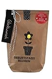 Wunderle WUN0212 Geburtstagsblumen-Handtasche, Braun, Unisex, Eimerförmig, Floral, Blumensaat zum Selbstpflanzen, für Geburtstag, Gartenfreunde, Geschenk