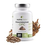 Pinienrindenextrakt Kapseln hochdosiert mit 32% OPC + natürliches Vitamin C - 240 Stk. - 500mg veganer Kiefernrindenextrakt - laborgeprüft aus Pinus pinaster