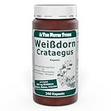 The Nutri Store Weissdorn 450 mg Kapseln 240 Stück mit sekundären Pflanzenstoffen aus Crataegus Weissdorn Nahrungsergänzungsmittel